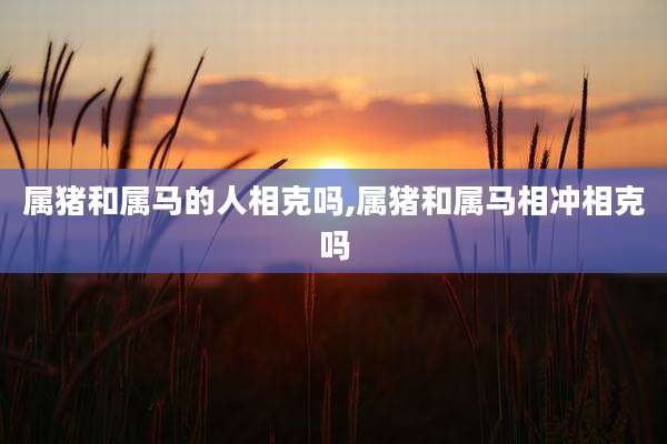 属猪和属马的人相克吗,属猪和属马相冲相克吗