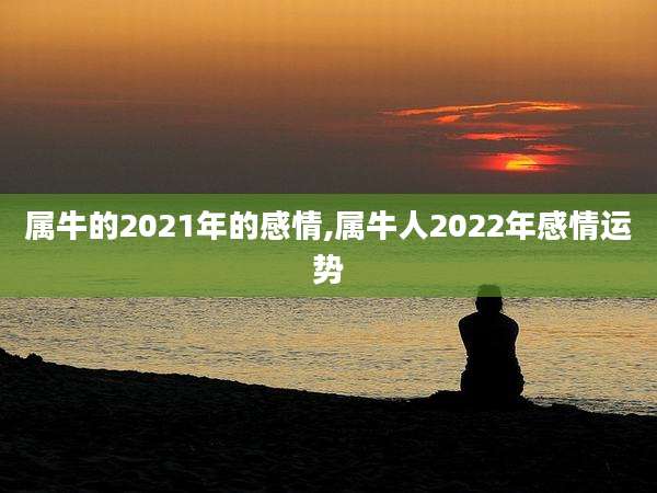 属牛的2021年的感情,属牛人2022年感情运势