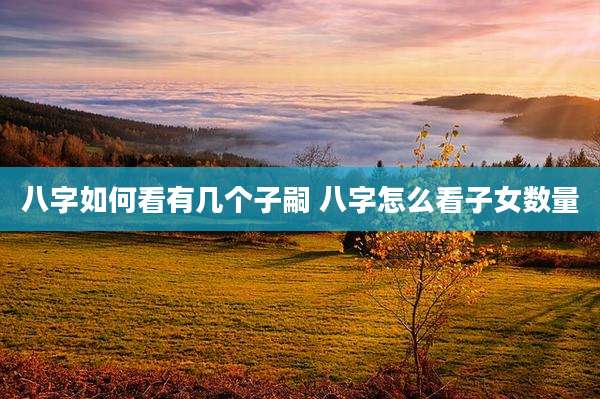 八字如何看有几个子嗣 八字怎么看子女数量