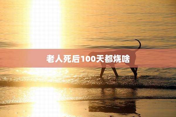 老人死后100天都烧啥