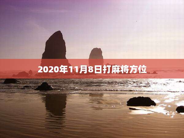 2020年11月8日打麻将方位