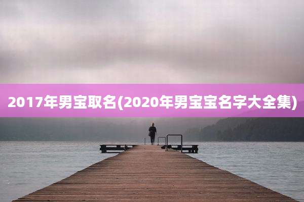 2017年男宝取名(2020年男宝宝名字大全集)
