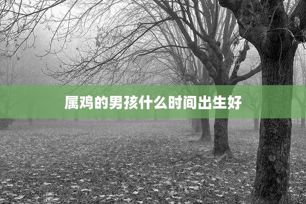 属鸡的男孩什么时间出生好