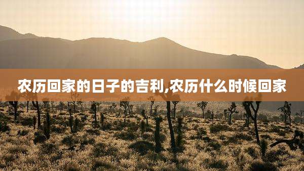 农历回家的日子的吉利,农历什么时候回家