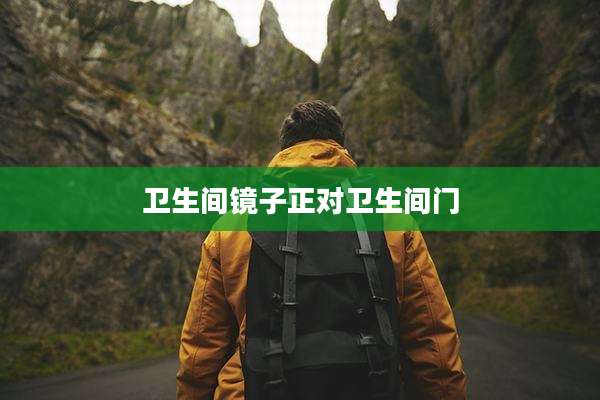 卫生间镜子正对卫生间门