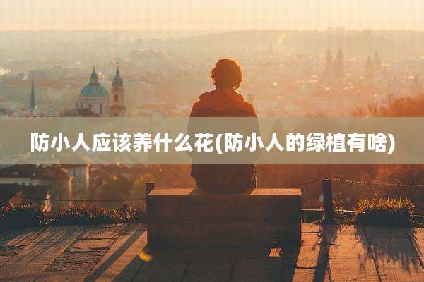 防小人应该养什么花(防小人的绿植有啥)