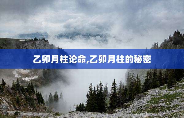乙卯月柱论命,乙卯月柱的秘密