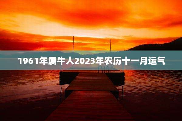 1961年属牛人2023年农历十一月运气