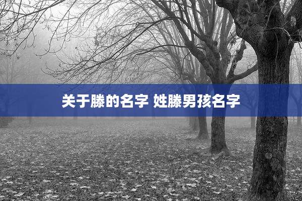 关于滕的名字 姓滕男孩名字