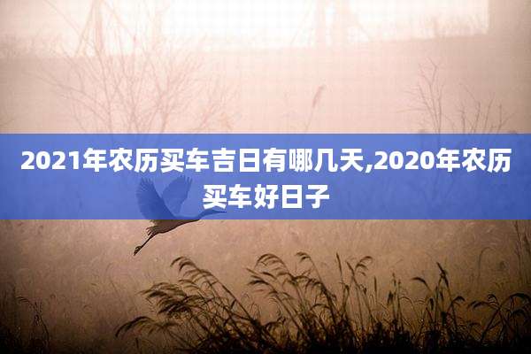 2021年农历买车吉日有哪几天,2020年农历买车好日子