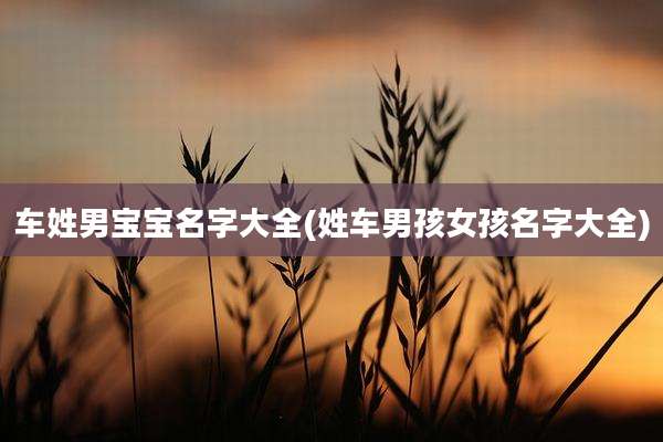 车姓男宝宝名字大全(姓车男孩女孩名字大全)