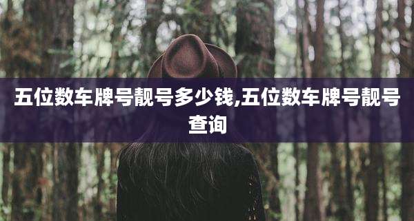 五位数车牌号靓号多少钱,五位数车牌号靓号查询