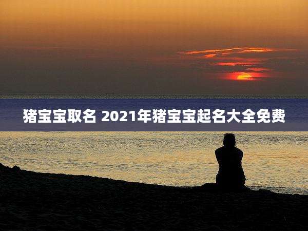 猪宝宝取名 2021年猪宝宝起名大全免费