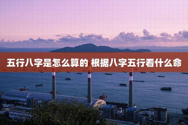 五行八字是怎么算的 根据八字五行看什么命