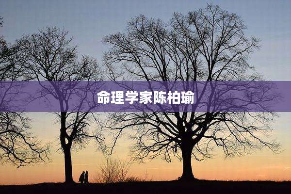 命理学家陈柏瑜