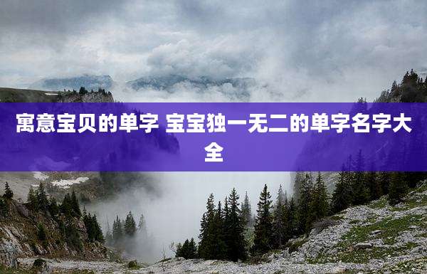 寓意宝贝的单字 宝宝独一无二的单字名字大全