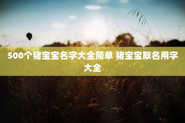 500个猪宝宝名字大全简单 猪宝宝取名用字大全