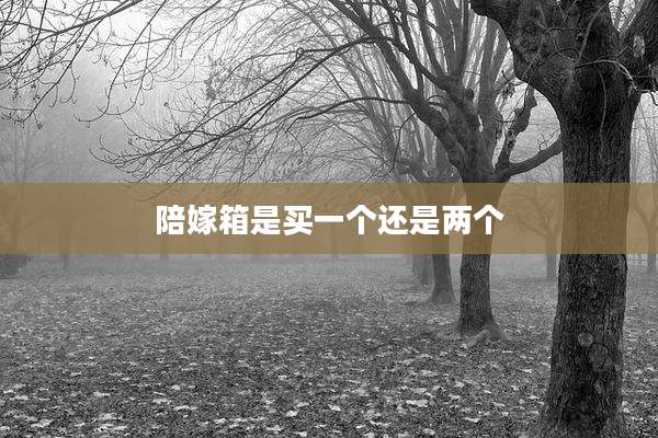 陪嫁箱是买一个还是两个