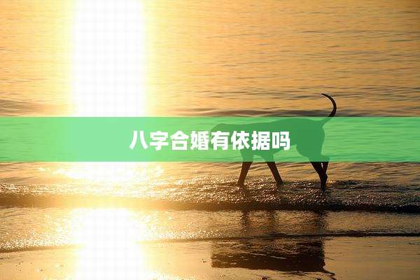 八字合婚有依据吗