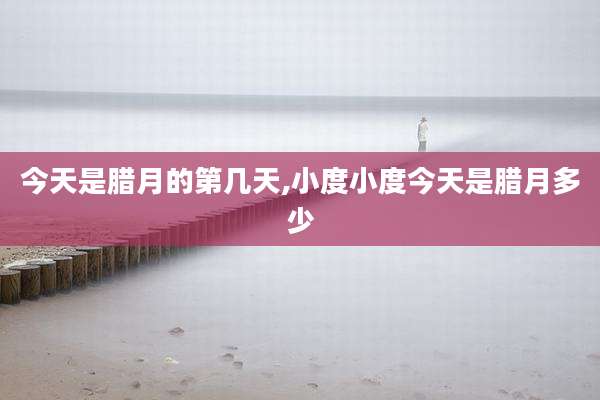今天是腊月的第几天,小度小度今天是腊月多少