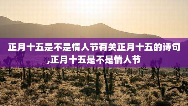 正月十五是不是情人节有关正月十五的诗句,正月十五是不是情人节