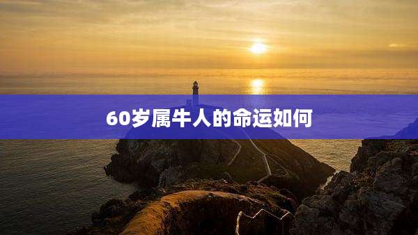 60岁属牛人的命运如何