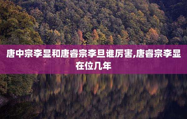 唐中宗李显和唐睿宗李旦谁厉害,唐睿宗李显在位几年