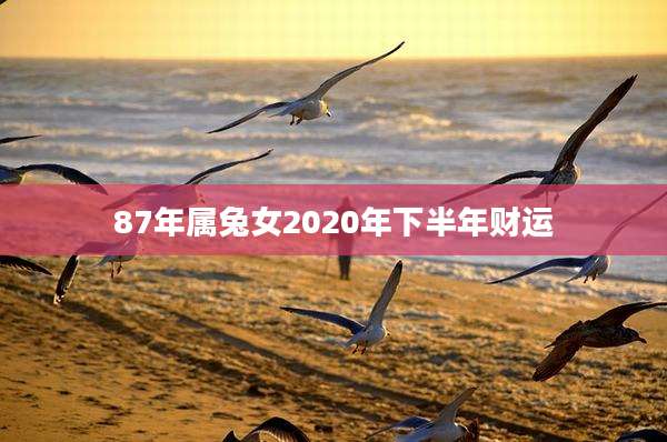 87年属兔女2020年下半年财运
