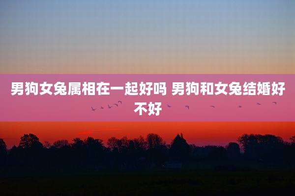 男狗女兔属相在一起好吗 男狗和女兔结婚好不好
