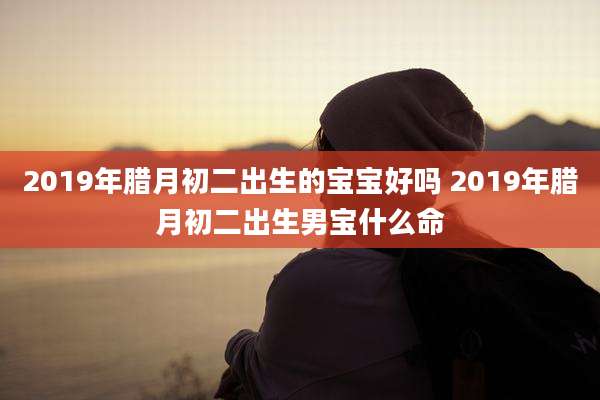 2019年腊月初二出生的宝宝好吗 2019年腊月初二出生男宝什么命