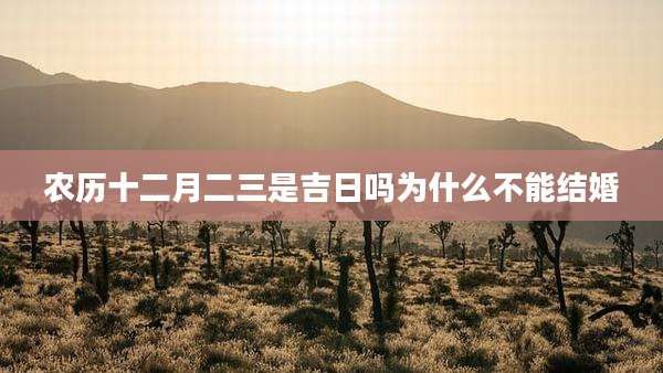 农历十二月二三是吉日吗为什么不能结婚
