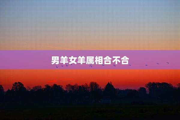 男羊女羊属相合不合