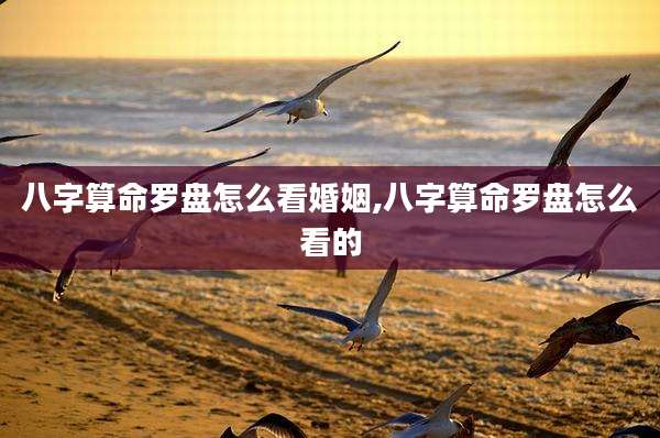 八字算命罗盘怎么看婚姻,八字算命罗盘怎么看的