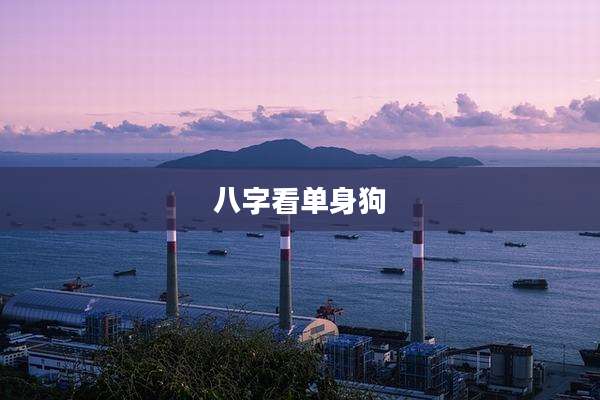 八字看单身狗