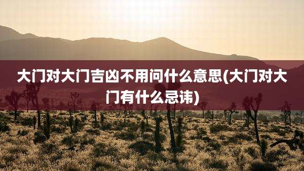 大门对大门吉凶不用问什么意思(大门对大门有什么忌讳)