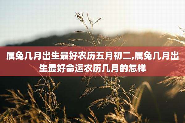属兔几月出生最好农历五月初二,属兔几月出生最好命运农历几月的怎样