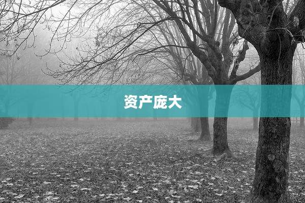 资产庞大