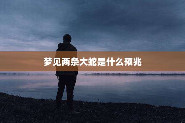 梦见两条大蛇是什么预兆