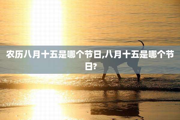 农历八月十五是哪个节日,八月十五是哪个节日?