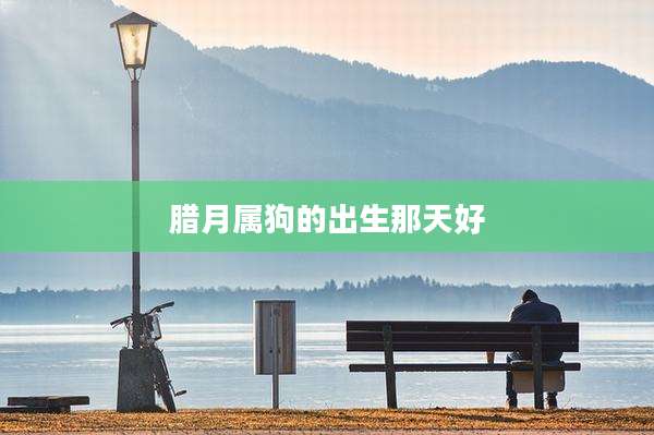腊月属狗的出生那天好