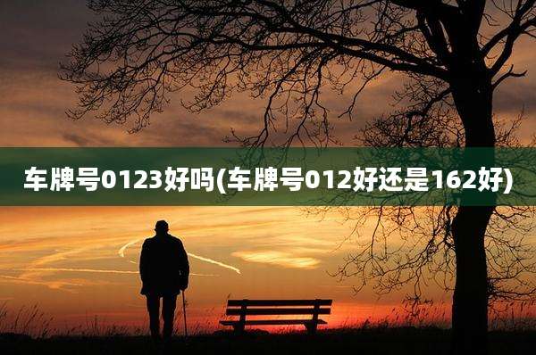 车牌号0123好吗(车牌号012好还是162好)