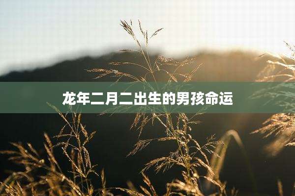 龙年二月二出生的男孩命运