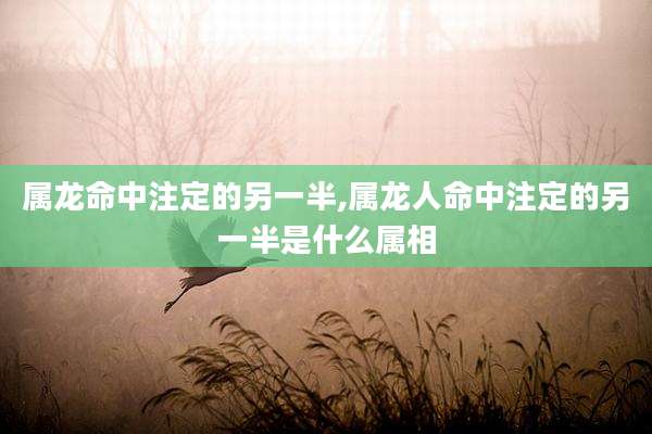 属龙命中注定的另一半,属龙人命中注定的另一半是什么属相