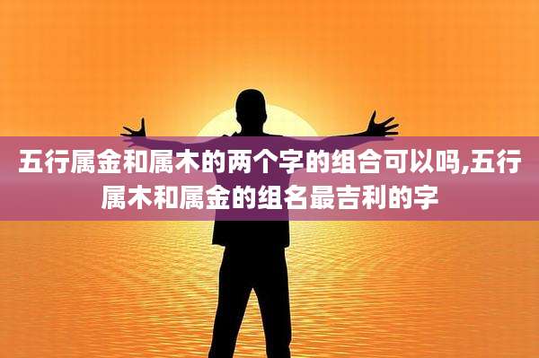 五行属金和属木的两个字的组合可以吗,五行属木和属金的组名最吉利的字