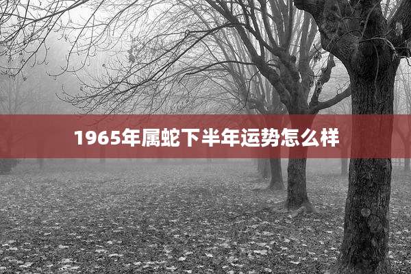 1965年属蛇下半年运势怎么样