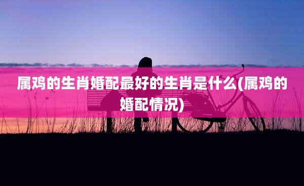 属鸡的生肖婚配最好的生肖是什么(属鸡的婚配情况)