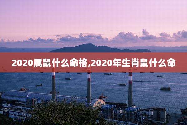 2020属鼠什么命格,2020年生肖鼠什么命