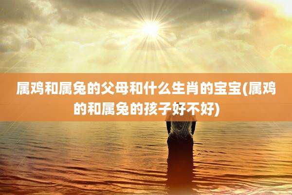 属鸡和属兔的父母和什么生肖的宝宝(属鸡的和属兔的孩子好不好)