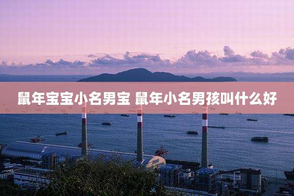 鼠年宝宝小名男宝 鼠年小名男孩叫什么好