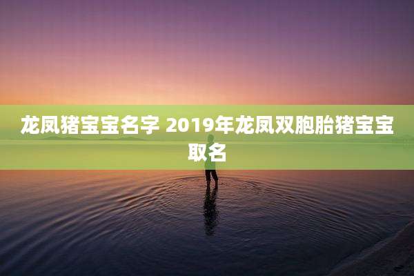龙凤猪宝宝名字 2019年龙凤双胞胎猪宝宝取名